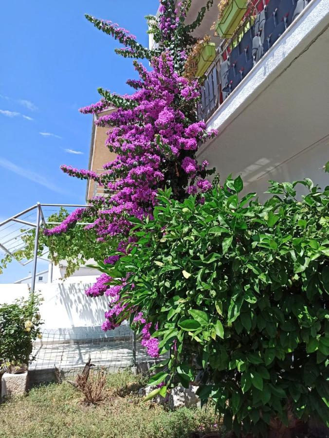 New! Apartment Terrazen Split - Free Car Parking Екстер'єр фото